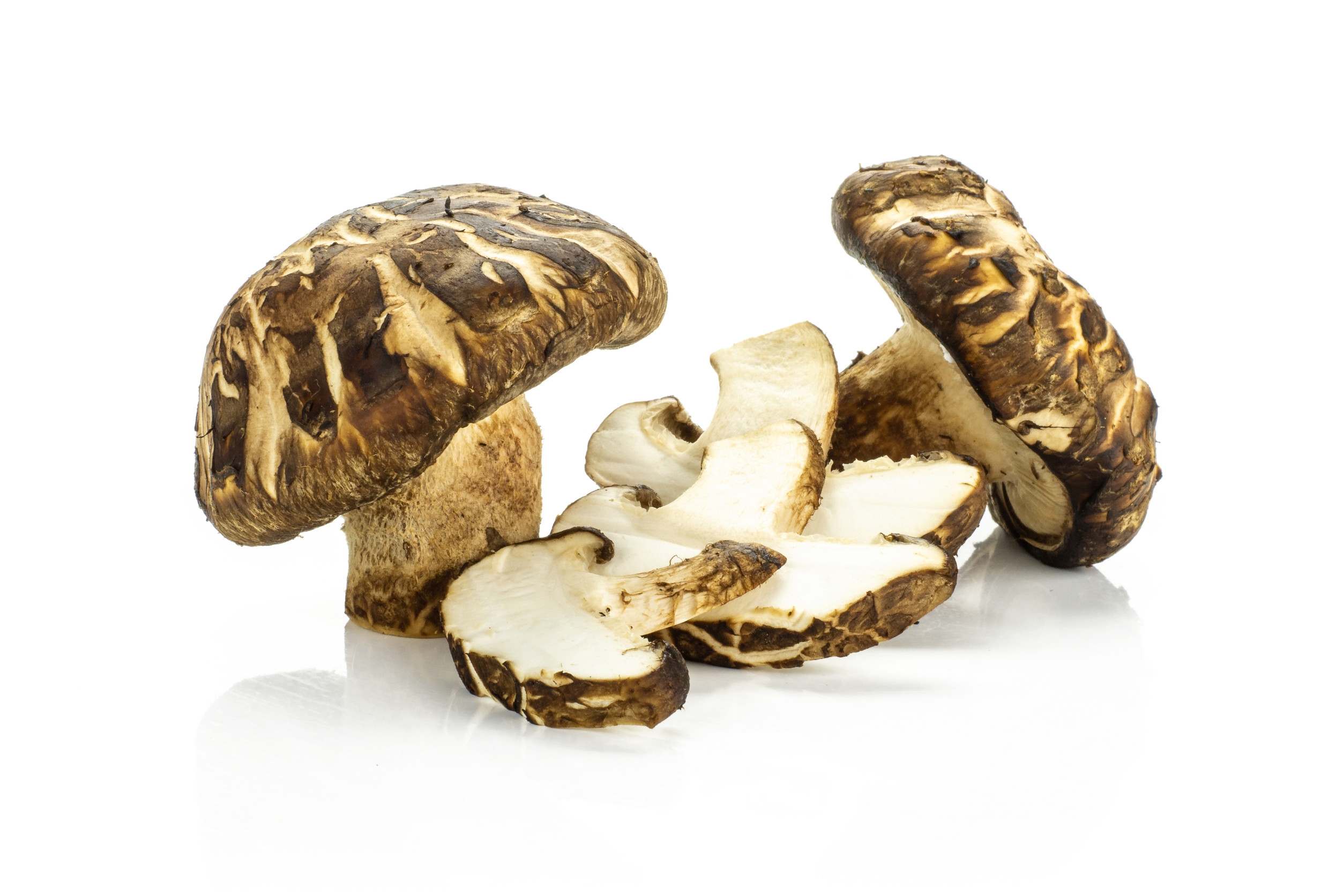 Ingredient: Ekstrakt z owocników shiitake